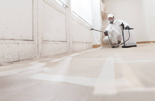 24/7 Emergency Attic Mold Removal experts in Hillsboro, TX