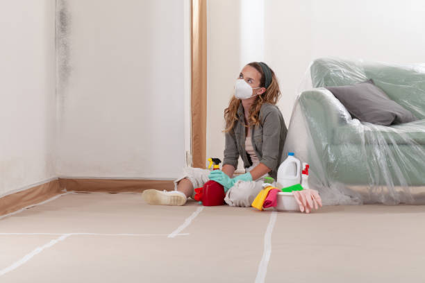 Reliable Attic Mold Removal contractor in Hillsboro, TX by WQB Mold Removal
